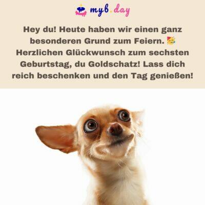 Glückwünsche zum 6. Geburtstag 60 schöne Sprüche