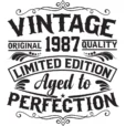 Vintage 1987 - Aged to Perfection - Unisex